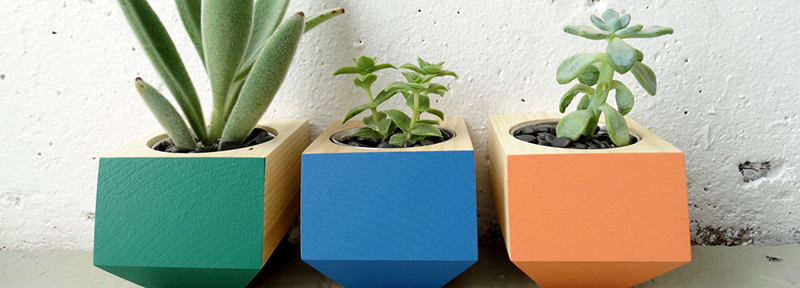 Colorhouse and Revolution Design House color collaboration